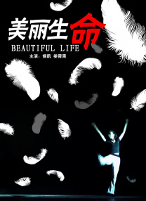天天操小说